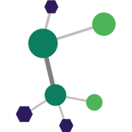 BMDS logo 300x300